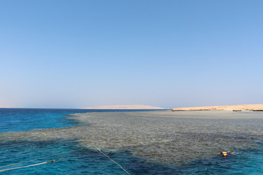 Similar image 22600194