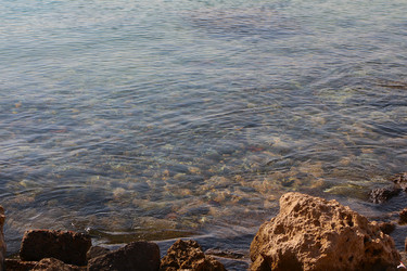 Similar image 22600195