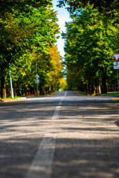 Similar image 22599527