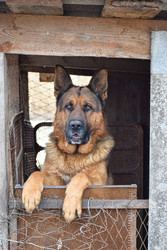 Similar image 22607993