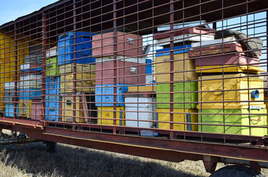 Similar image 22599779