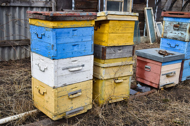 Similar image 22599780