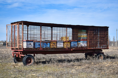 Similar image 22599804