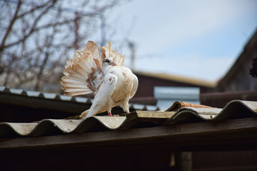 Similar image 22610865