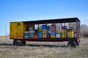 Similar image 22599763