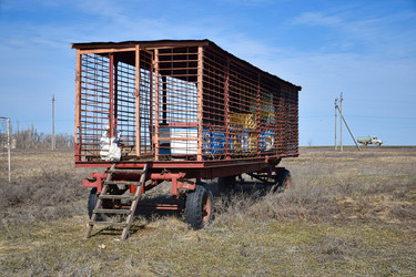 Similar image 22599764