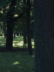 Similar image 22643952