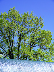 Similar image 22643953