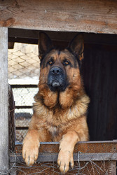 Similar image 22607977