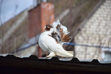 Similar image 22597171