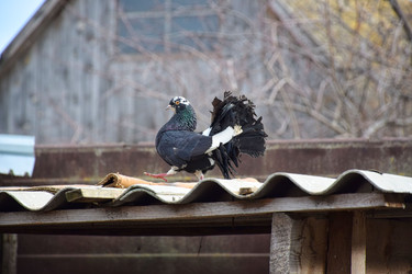 Similar image 22607978