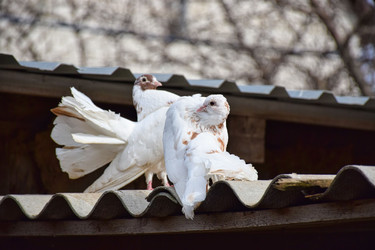 Similar image 22597172