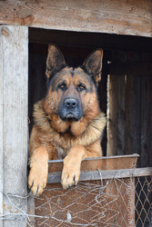 Similar image 22632418