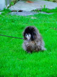 Similar image 22639449