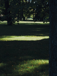 Similar image 22641458