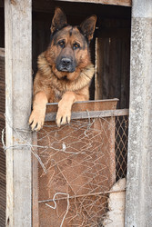 Similar image 22632419