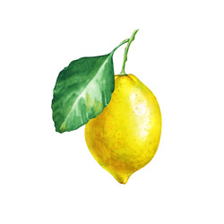 Similar image 22600119