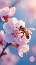 Similar image 22620516