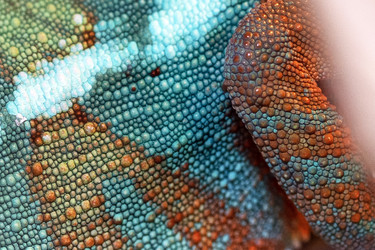 Similar image 22608116