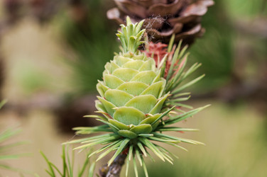 Similar image 22607321