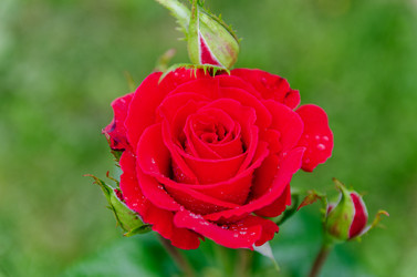 Similar image 22607322