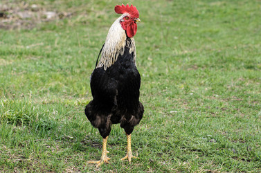 Similar image 22607323