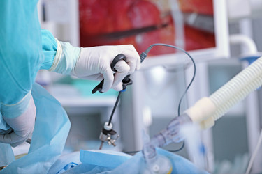 Similar image 22611804