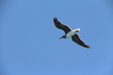 Similar image 22600146