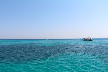 Similar image 22600147