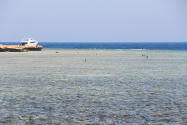 Similar image 22600148