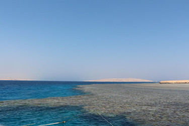 Similar image 22600149