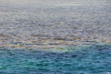 Similar image 22600150