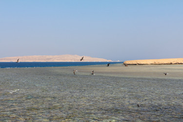 Similar image 22600151