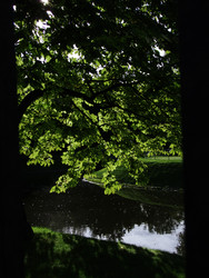 Similar image 22640497