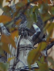 Similar image 22639207