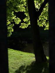 Similar image 22640517