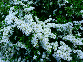 Similar image 22639209