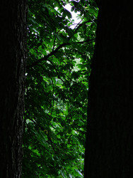 Similar image 22640518