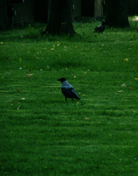 Similar image 22640519