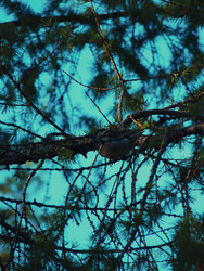 Similar image 22639441