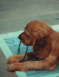 Similar image 22639448