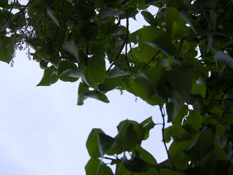 Similar image 22639455