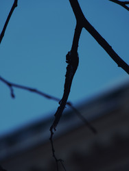 Similar image 22639456