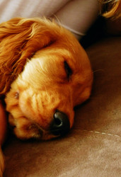 Similar image 22639466