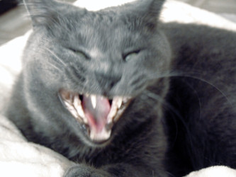 Similar image 22639470