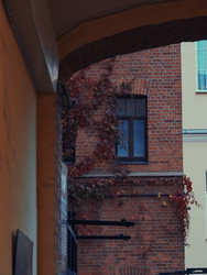 Similar image 22639476