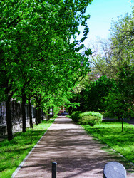 Similar image 22639489