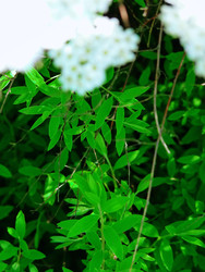 Similar image 22639490