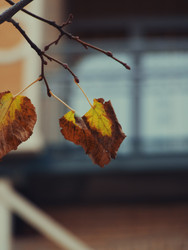 Similar image 22639501