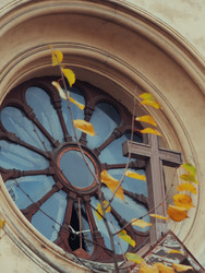 Similar image 22635450